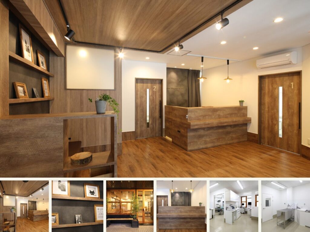 さとこ犬猫クリニック室内風景